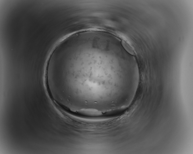 X0000090431379200707131153