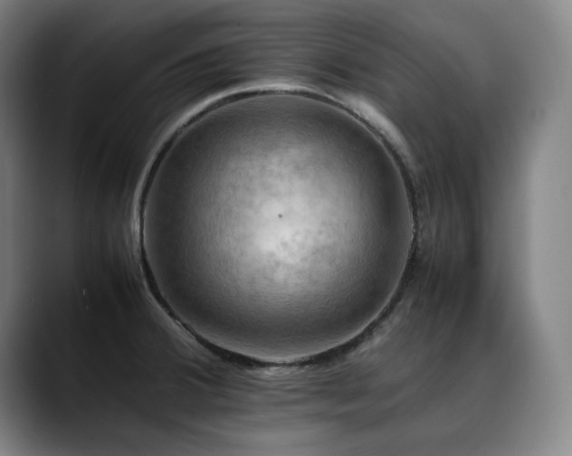 X0000090431380200707131153