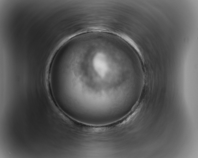 X0000090431381200707131153