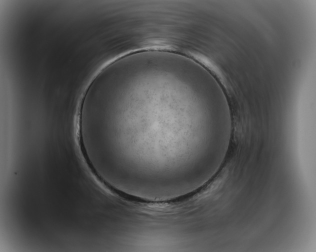 X0000090431383200707131153