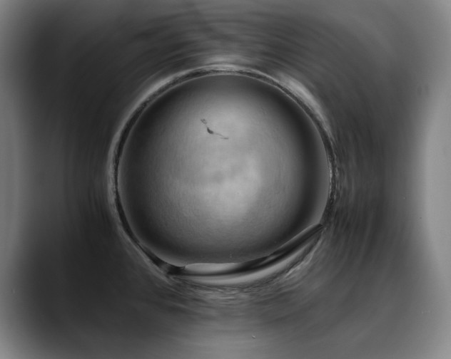 X0000090431384200707131153