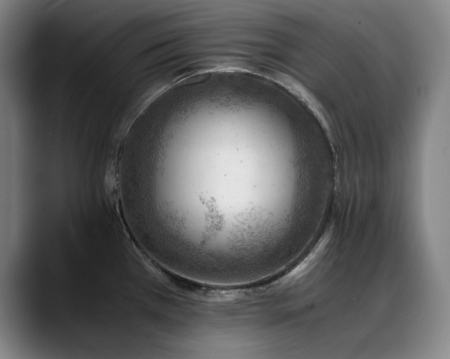 X0000090431385200707131153
