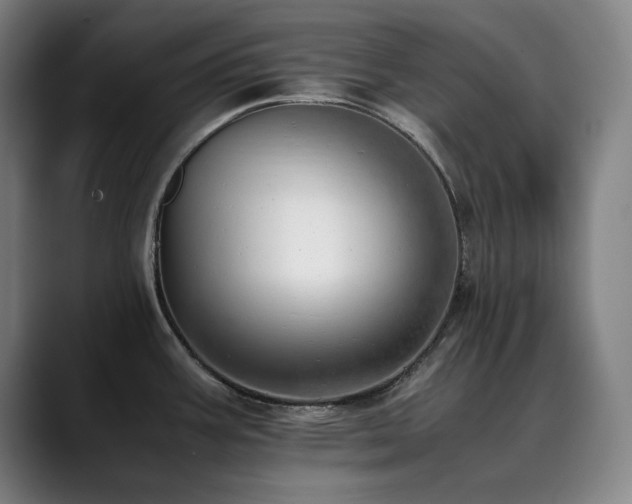 X0000090431387200707131153