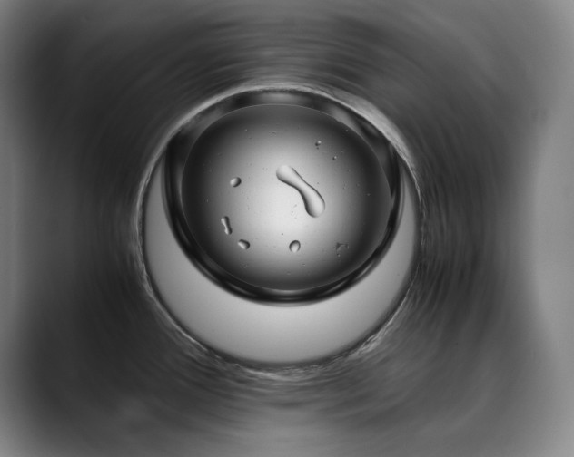 X0000090431388200707131153