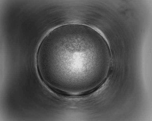 X0000090431389200707131153
