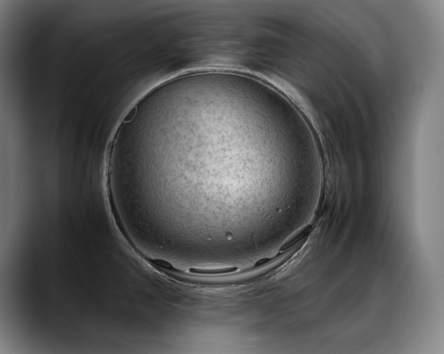 X0000090431390200707131153