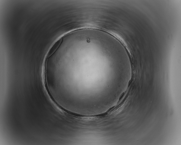 X0000090431391200707131153
