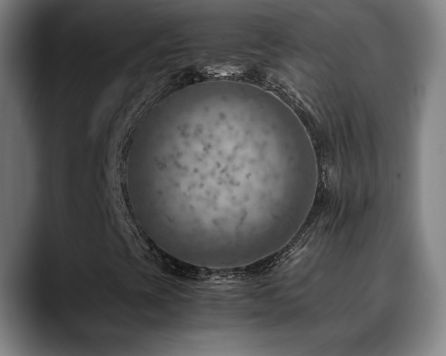 X0000090431393200707131153