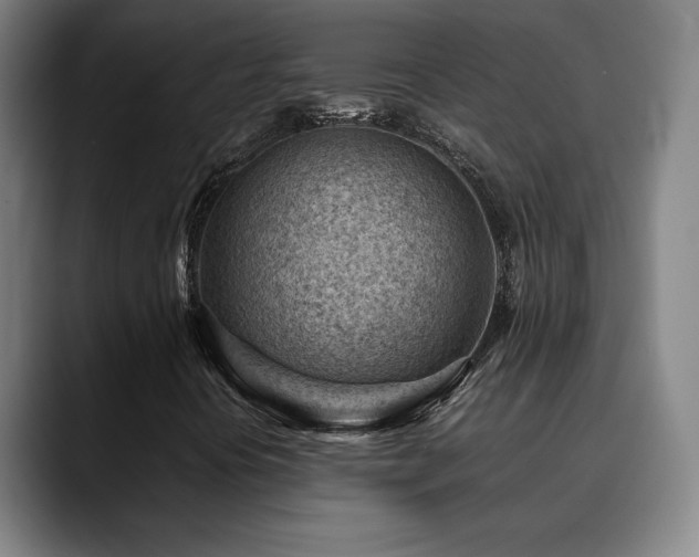 X0000090431394200707131153