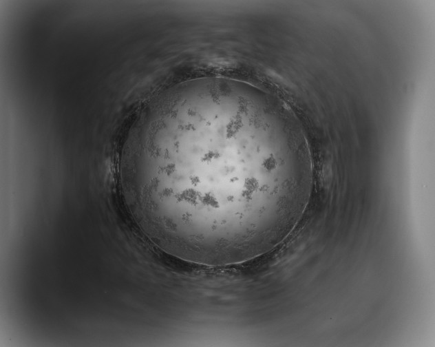 X0000090431397200707131153