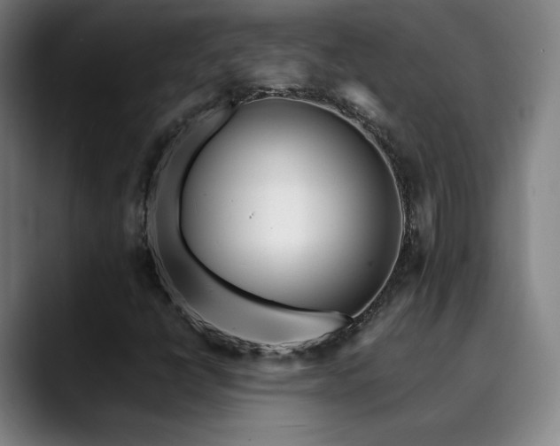 X0000090431398200707131153