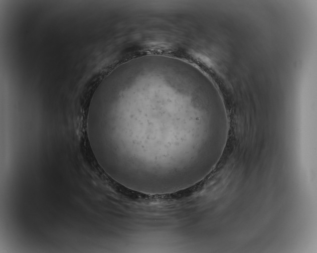 X0000090431399200707131153