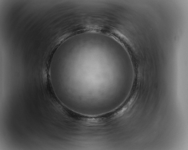 X0000090431401200707131153