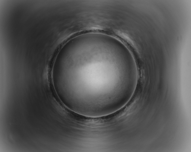 X0000090431404200707131153