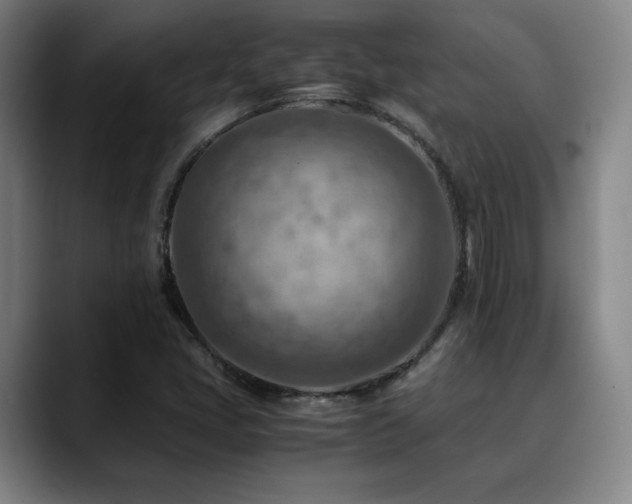 X0000090431405200707131153
