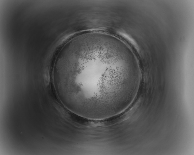 X0000090431407200707131153