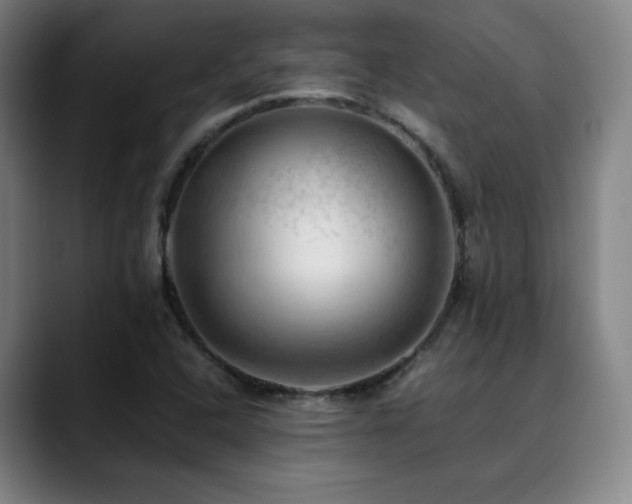 X0000090431408200707131153