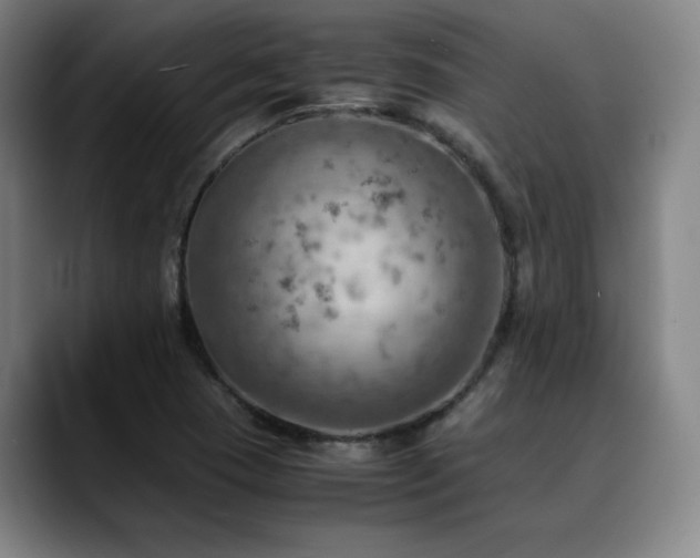 X0000090431409200707131153