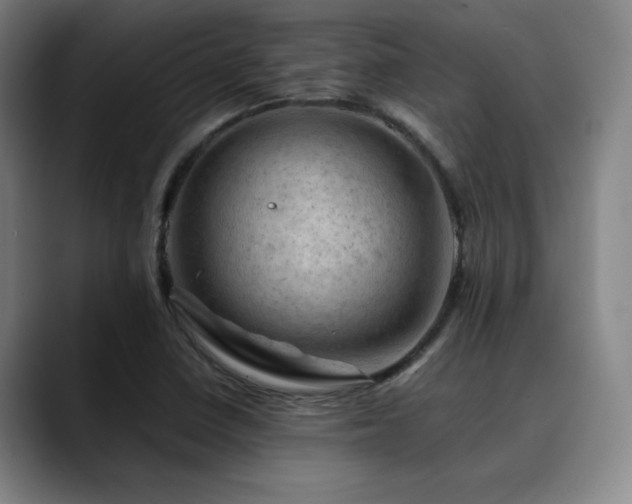 X0000090431410200707131153