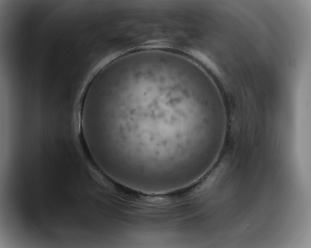 X0000090431413200707131153