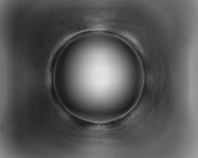 X0000090431414200707131153