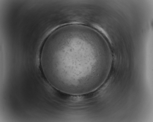 X0000090431415200707131153