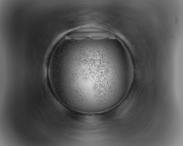 X0000090431416200707131153