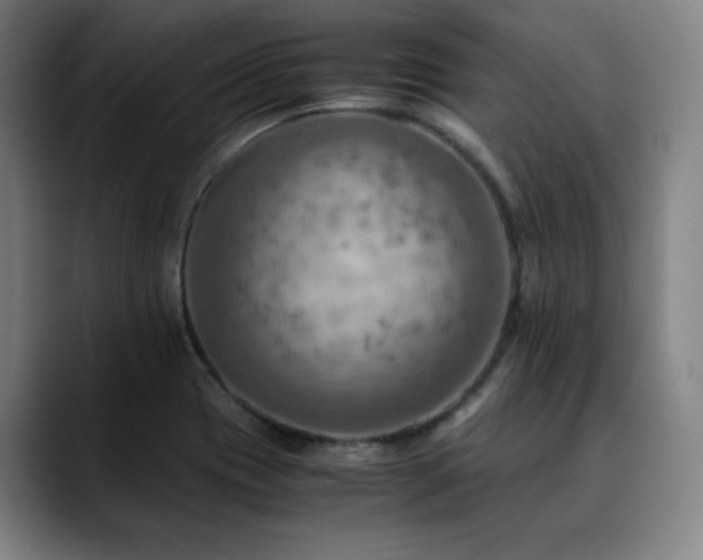 X0000090431417200707131153