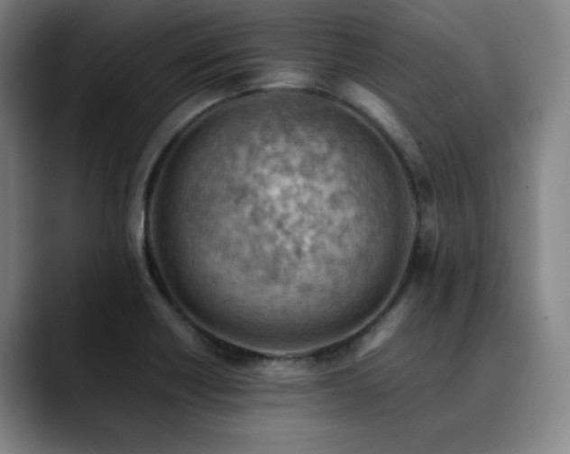 X0000090431418200707131153