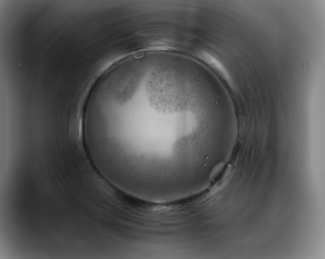 X0000090431419200707131153