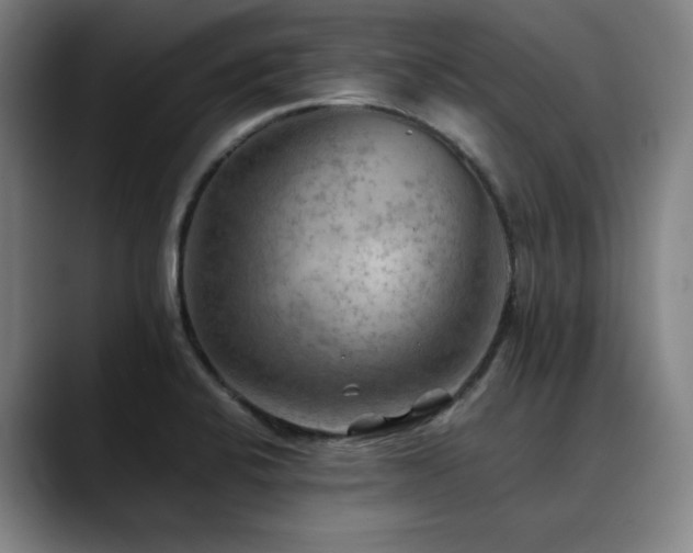 X0000090431424200707131153