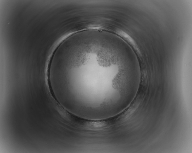 X0000090431427200707131153