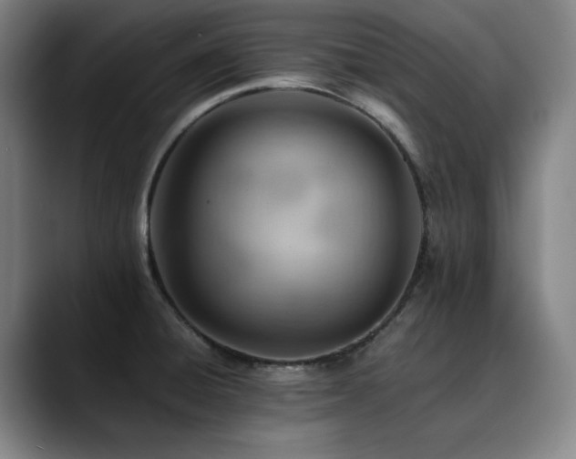 X0000090431428200707131153