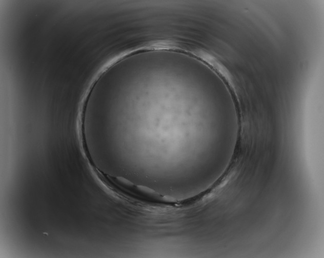 X0000090431429200707131153