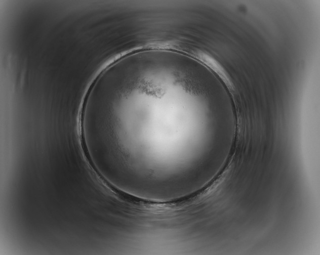 X0000090431436200707131153
