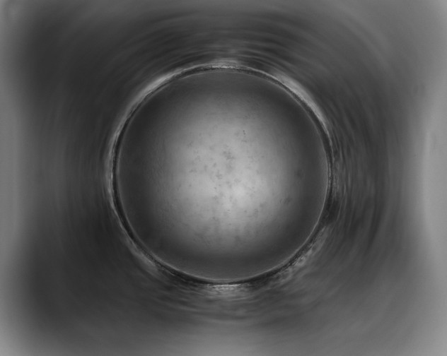 X0000090431437200707131153