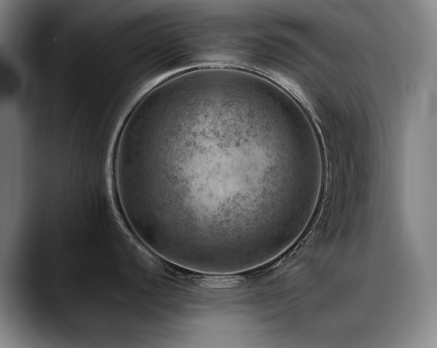 X0000090431440200707131153