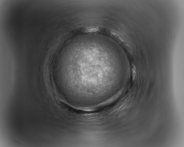 X0000090431441200707131153