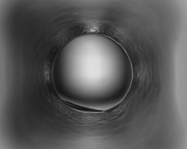 X0000090431442200707131153