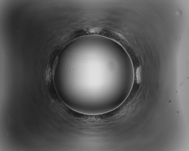 X0000090431443200707131153