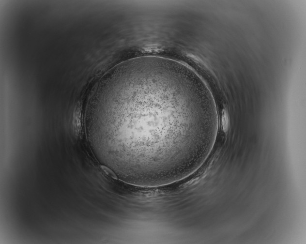 X0000090431444200707131153