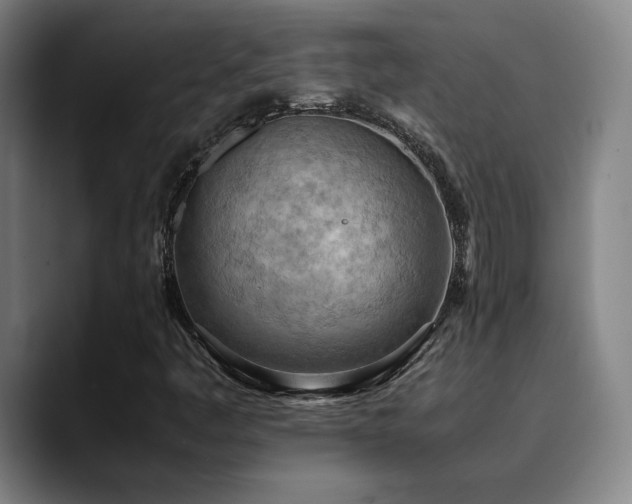 X0000090431445200707131153