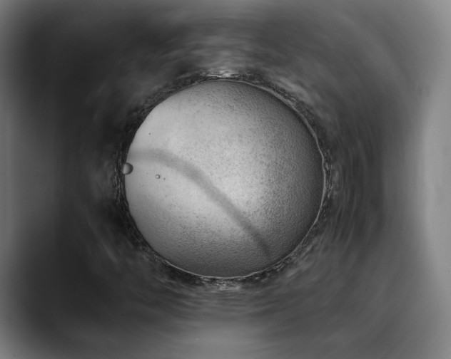 X0000090431446200707131153