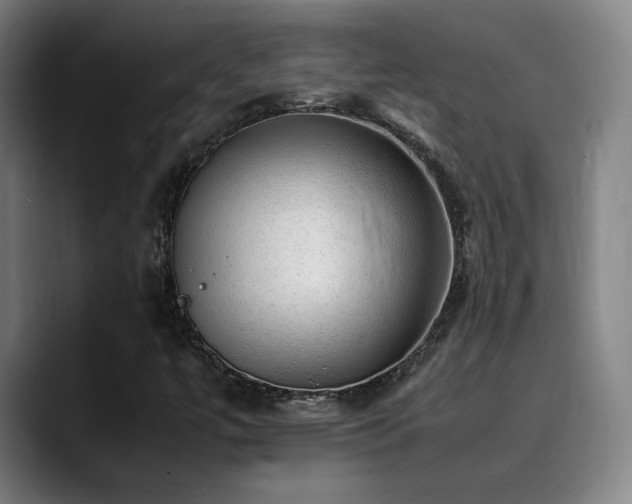 X0000090431447200707131153