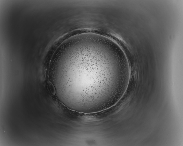 X0000090431448200707131153