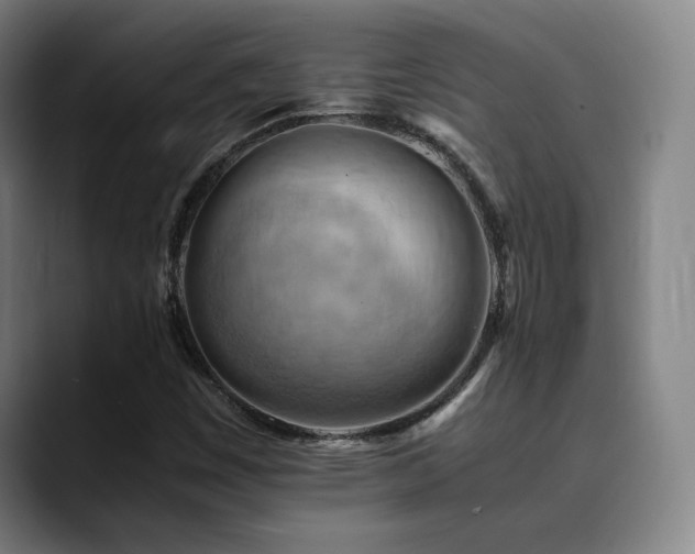 X0000090431449200707131153