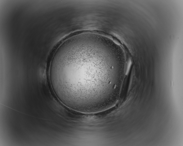 X0000090431452200707131152