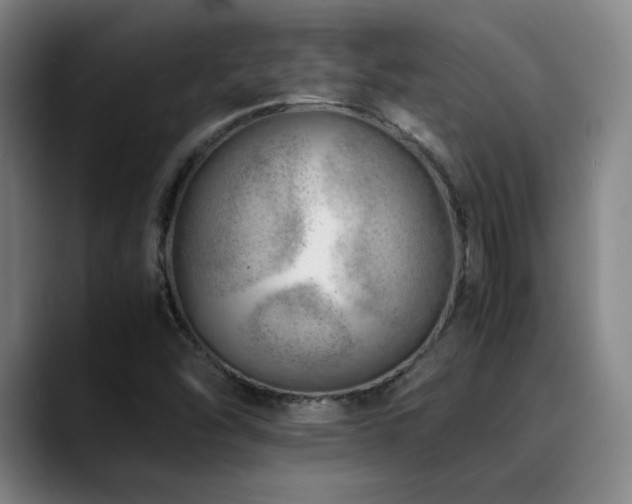 X0000090431454200707131152