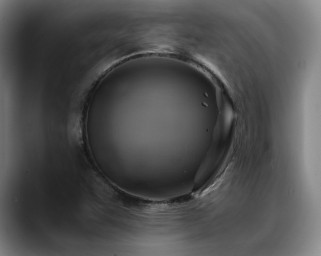 X0000090431455200707131152