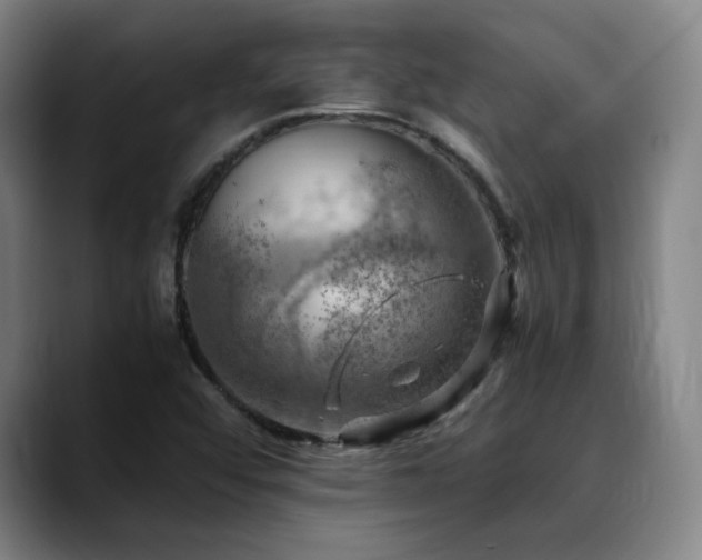 X0000090431456200707131152